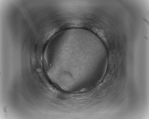 X0000098000017200803241352