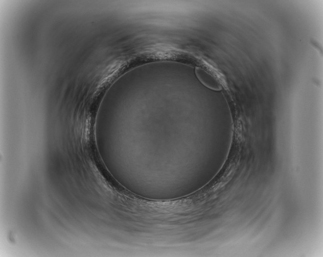 X0000098000018200803241352