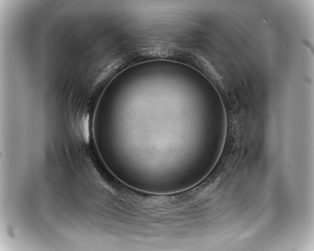 X0000098000020200803241352