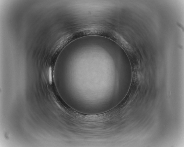 X0000098000022200803241352