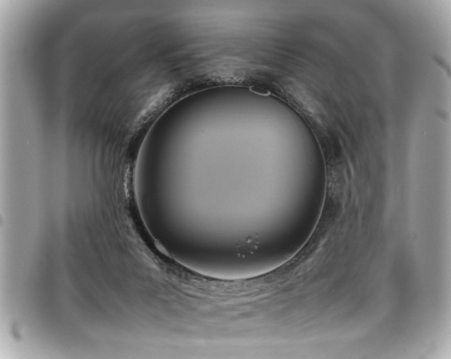 X0000098000023200803241352