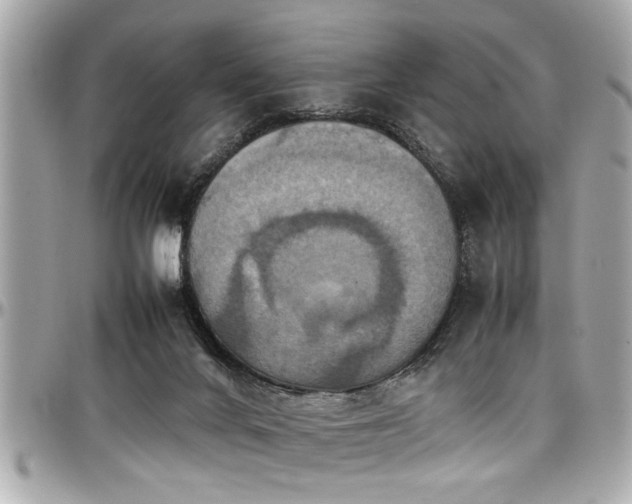 X0000098000024200803241352