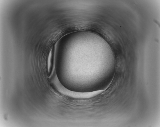 X0000098000025200803241352