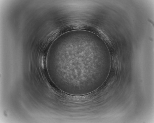 X0000098000026200803241352