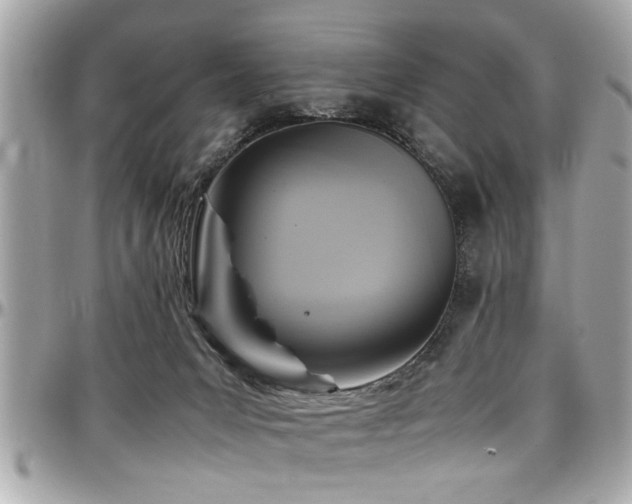 X0000098000031200803241352