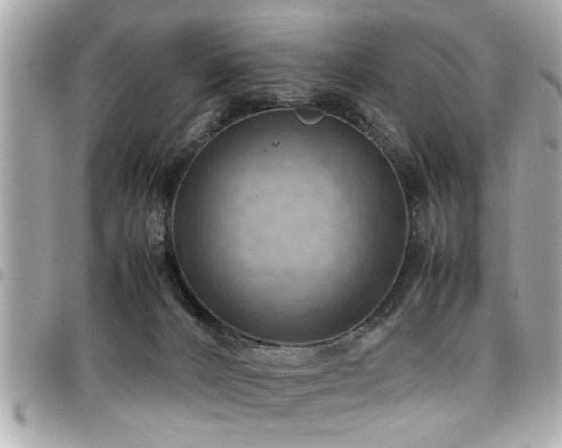 X0000098000032200803241352