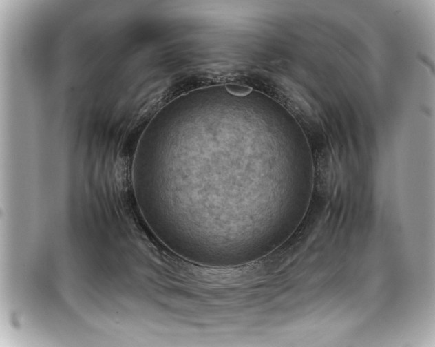 X0000098000034200803241351