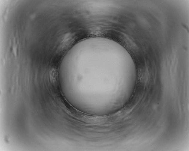 X0000098000036200803241351