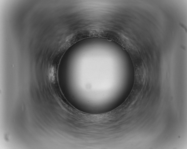 X0000098000038200803241351