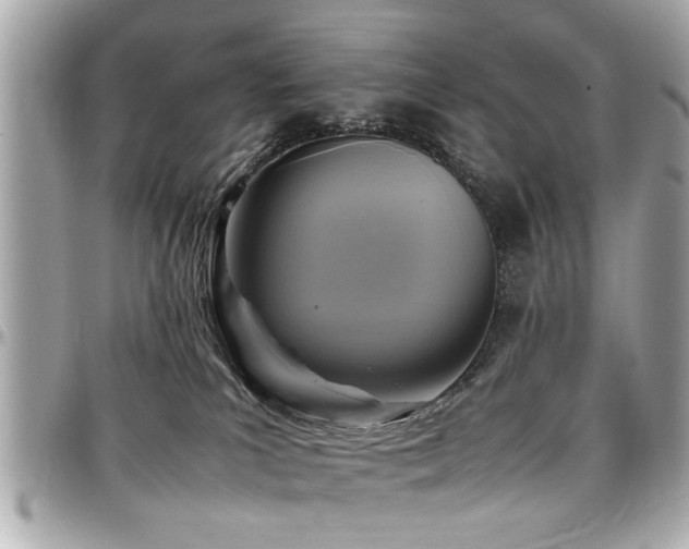 X0000098000039200803241351