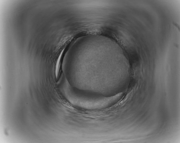 X0000098000041200803241351