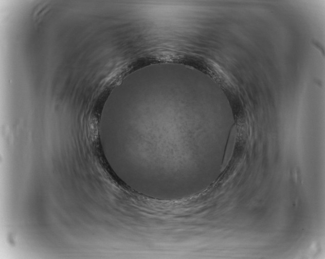 X0000098000043200803241351