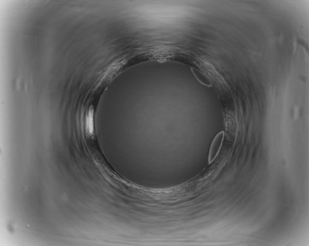 X0000098000046200803241351