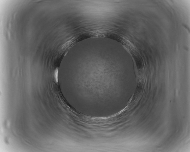X0000098000047200803241351