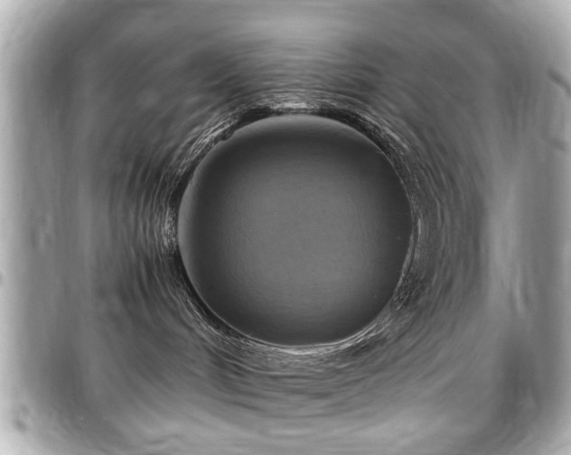 X0000098000048200803241351