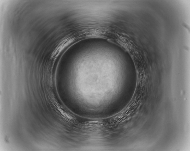 X0000098000050200803241351