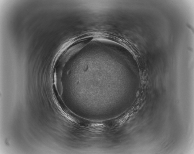 X0000098000055200803241351