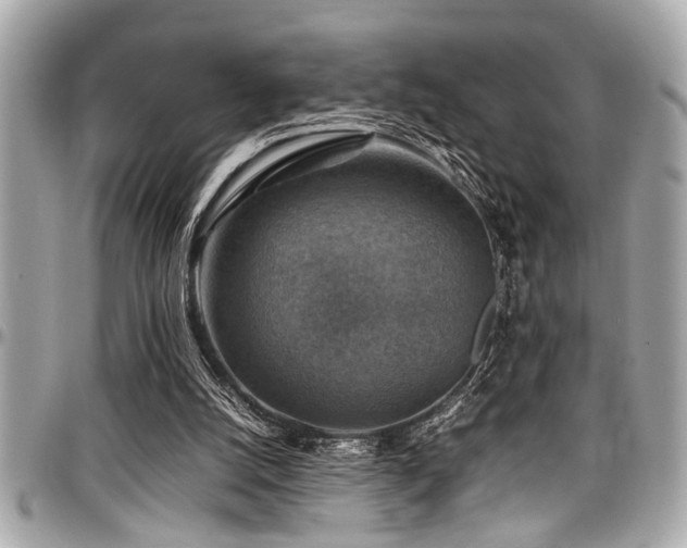 X0000098000056200803241351