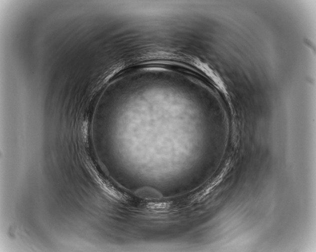 X0000098000057200803241351