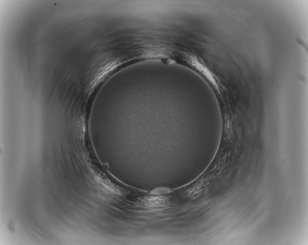 X0000098000059200803241351