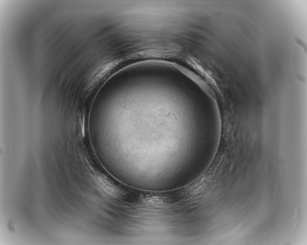 X0000098000062200803241351