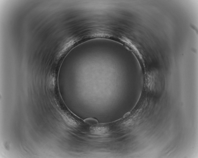X0000098000063200803241351