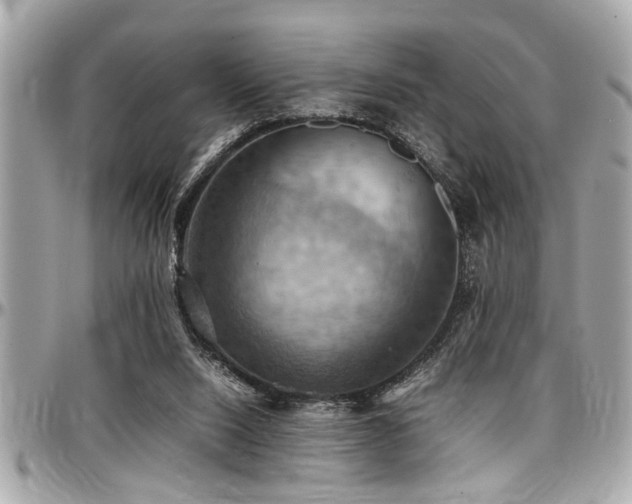 X0000098000064200803241351