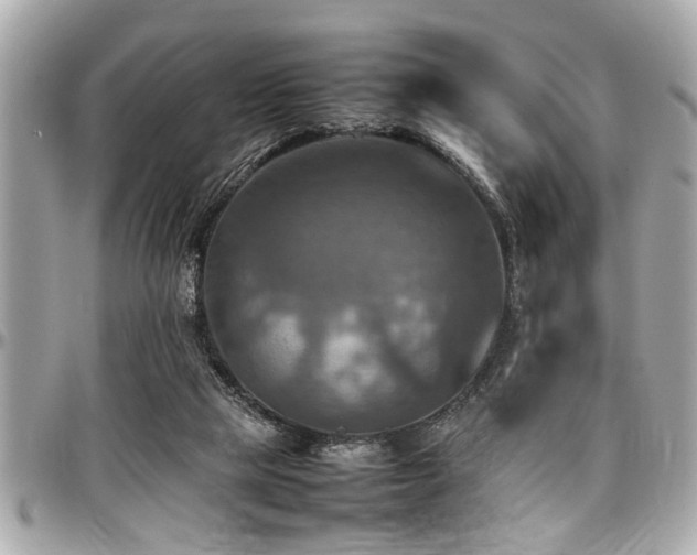 X0000098000065200803241351