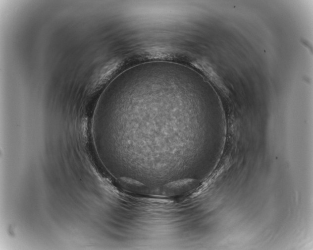 X0000098000066200803241351