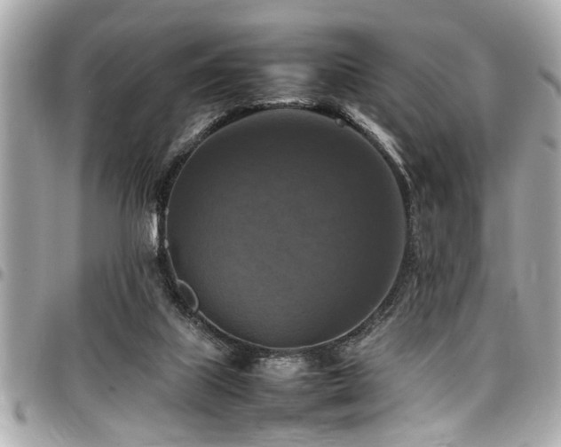 X0000098000067200803241351
