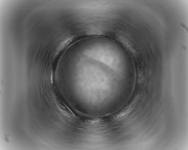 X0000098000068200803241351