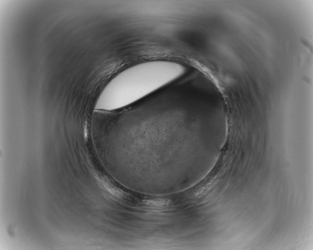 X0000098000069200803241351