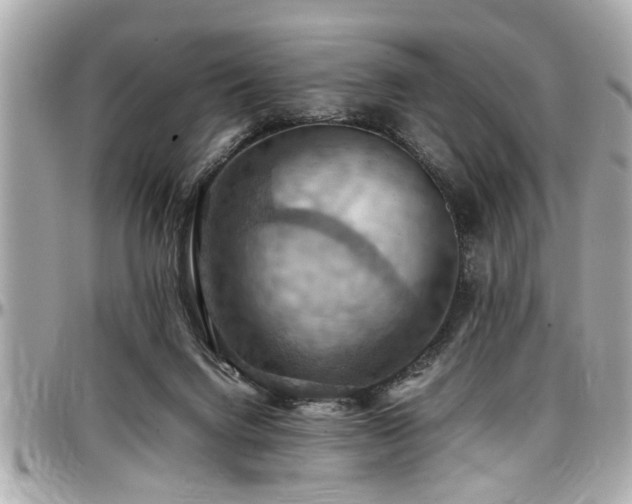 X0000098000072200803241351