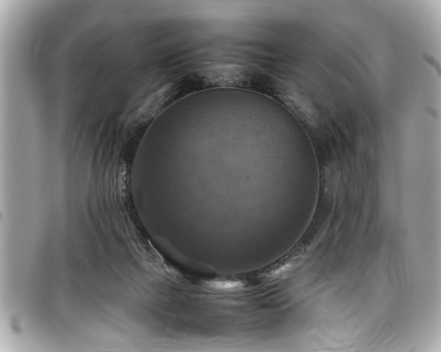 X0000098000073200803241351