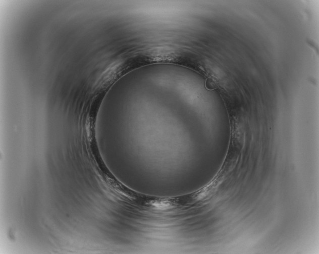 X0000098000074200803241351