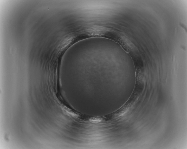 X0000098000076200803241351