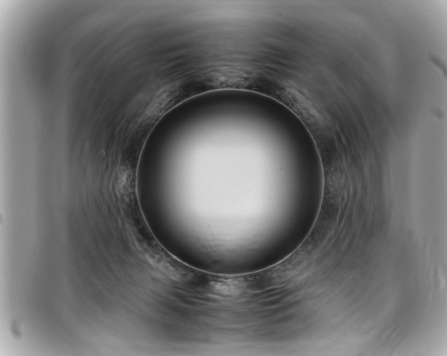 X0000098000079200803241351
