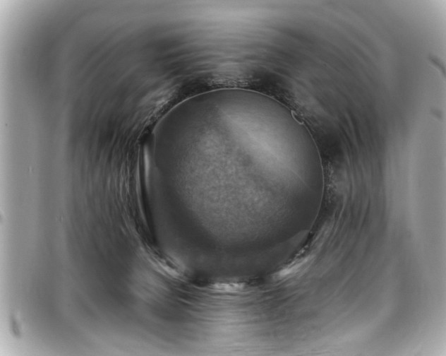 X0000098000080200803241351