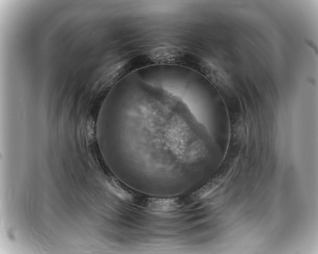 X0000098000081200803241351
