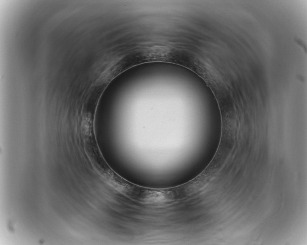 X0000098000083200803241351