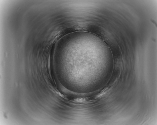 X0000098000084200803241351