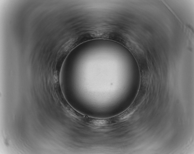 X0000098000085200803241351