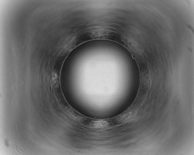 X0000098000087200803241351