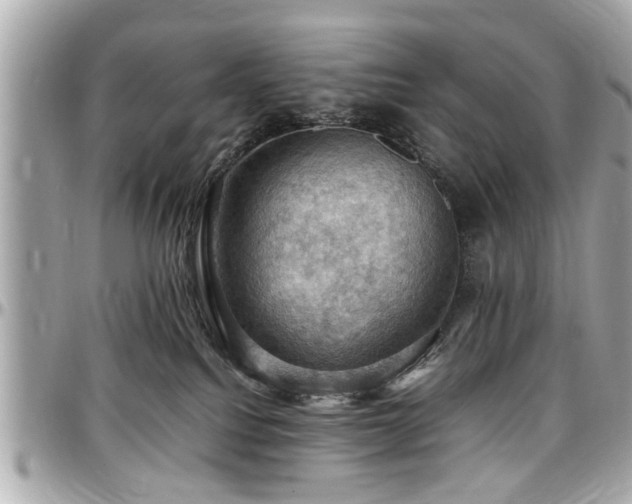 X0000098000088200803241351