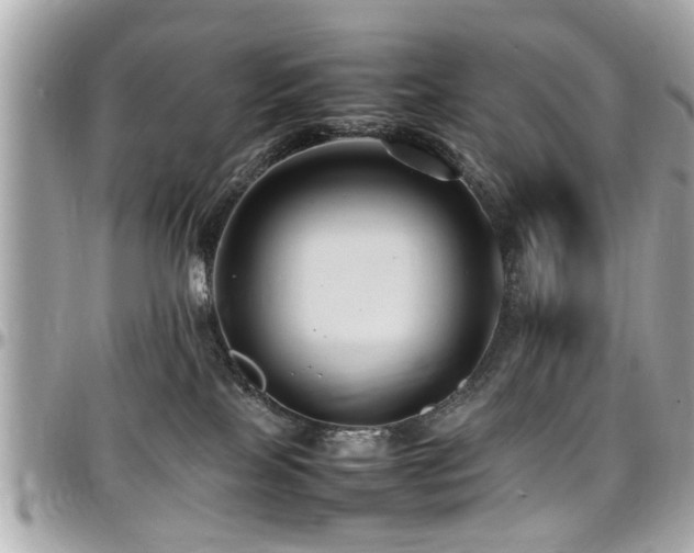 X0000098000089200803241351