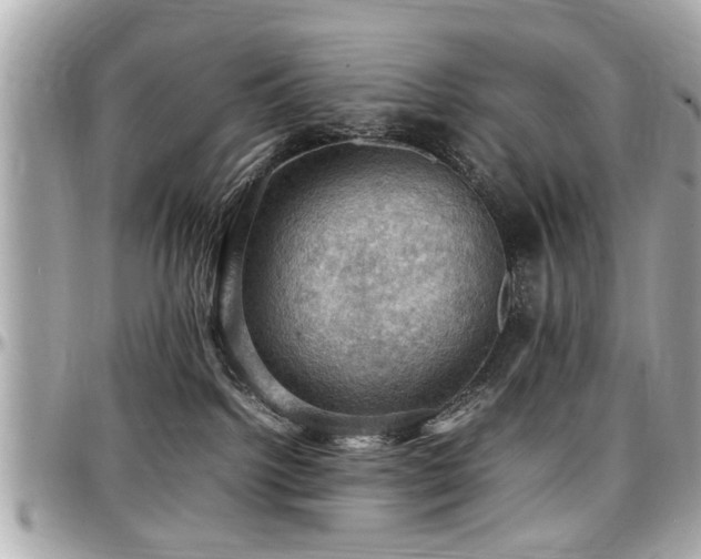 X0000098000092200803241351