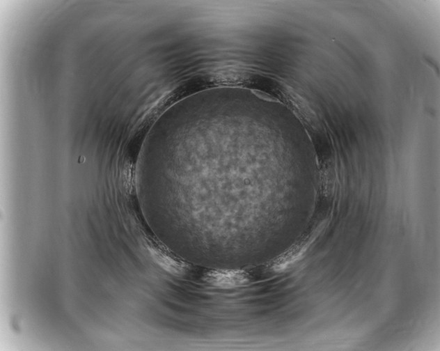 X0000098000093200803241351
