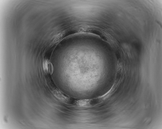X0000098000094200803241351