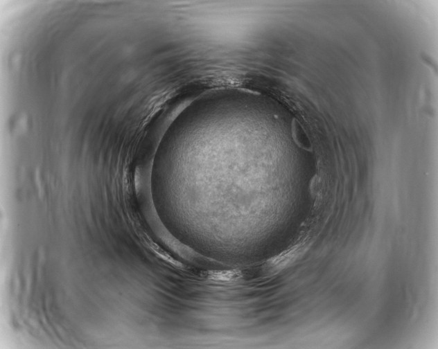 X0000098000096200803241351