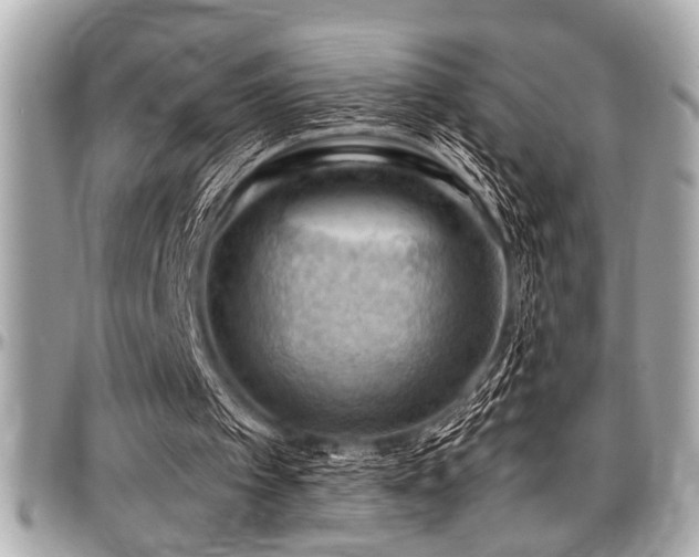 X0000098000097200803241351